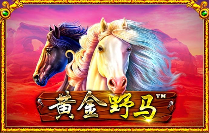 极速百家家乐下载最新版